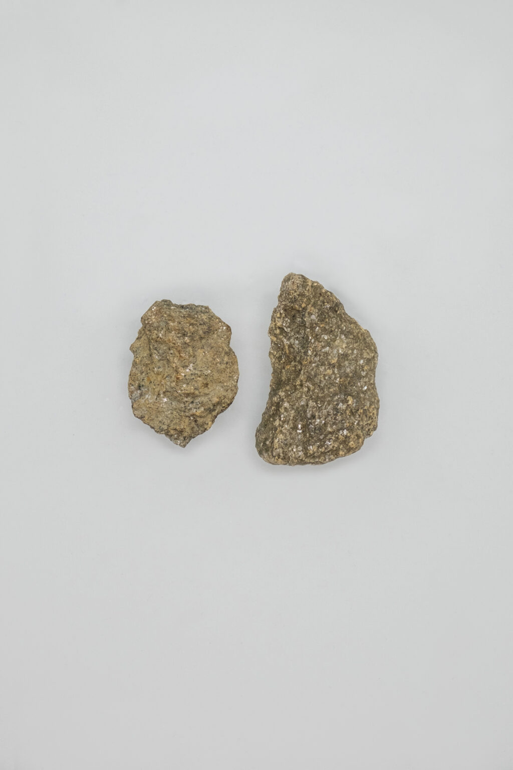 Earrings 0009