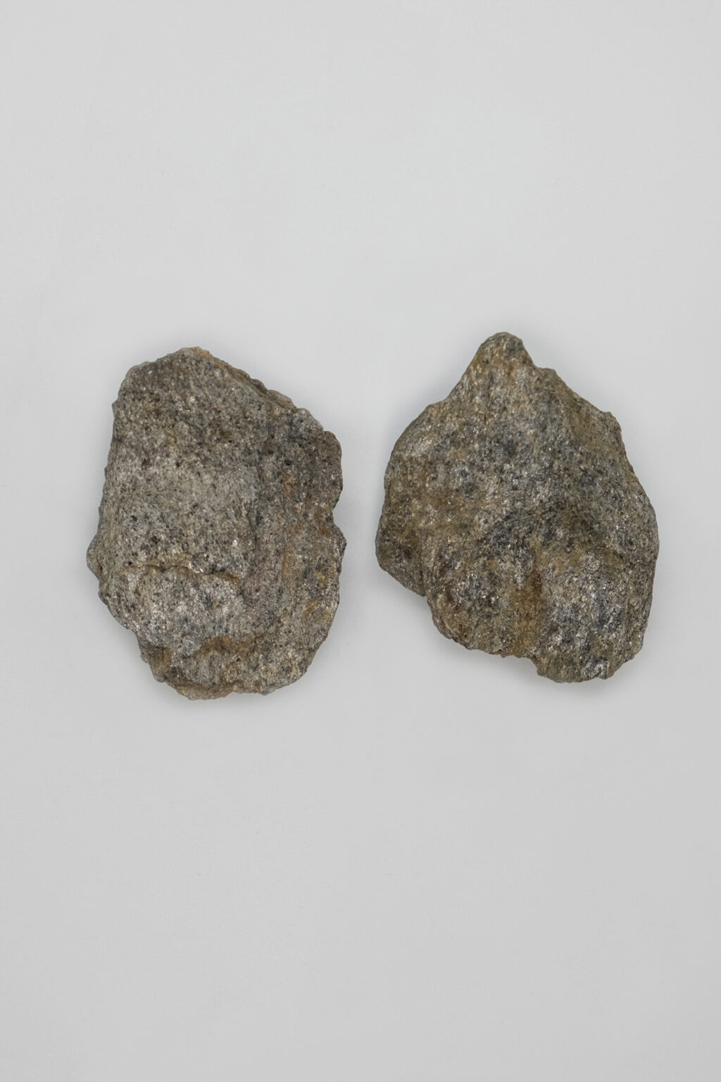 Earrings 00012