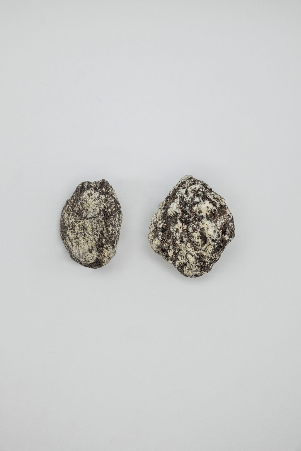 Earrings 00013