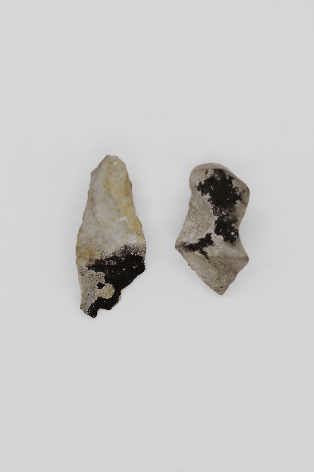 Earrings 00014