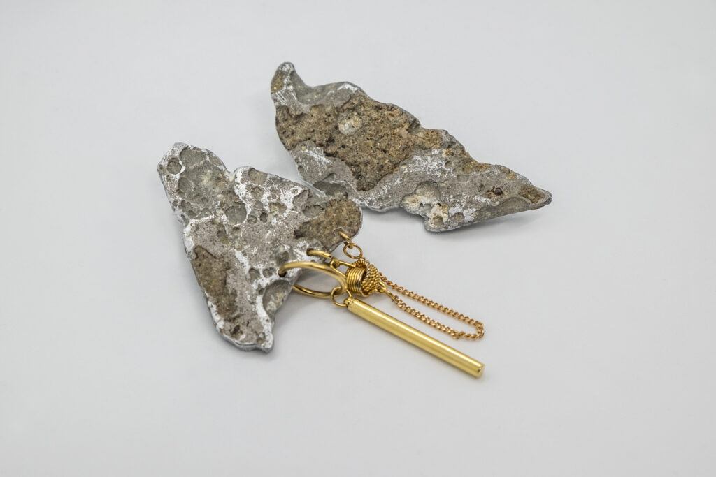 Earrings 00020